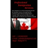 Professional Immigration Services