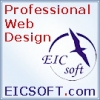 Professional WEB DESIGN